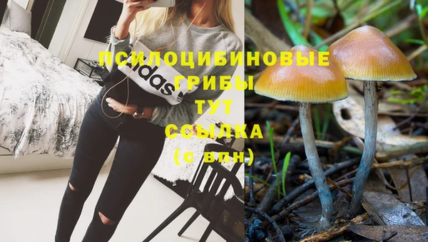 крисы Балахна