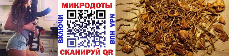 Псилоцибиновые грибы GOLDEN TEACHER  купить   Рудня 